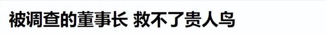 渐没落的4个国产运动鞋看谁还在乱跟风？AG旗舰厅娱乐平台曾红极一时如今却逐(图20)
